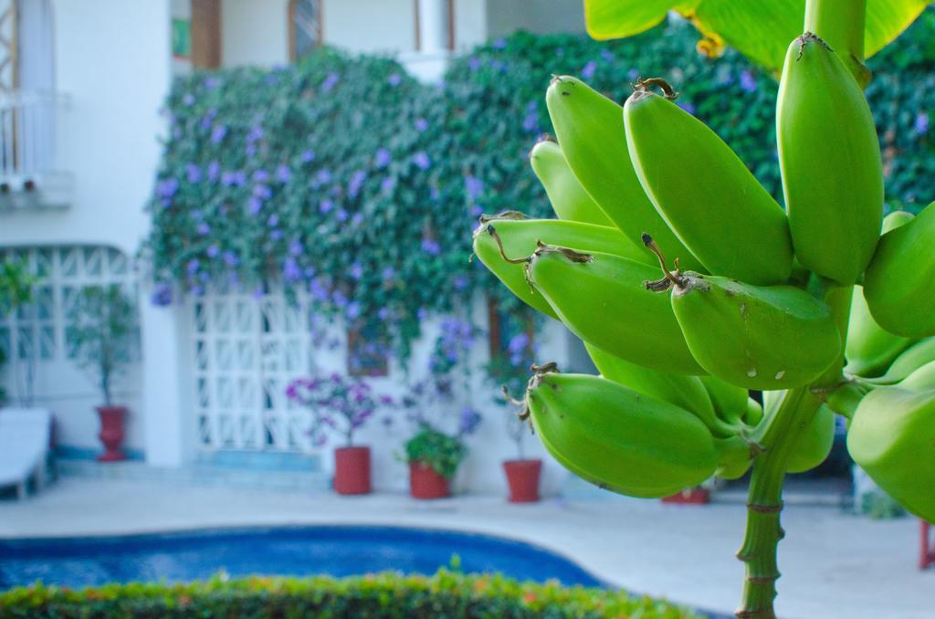 Casa Tukari Colonial House Hotel Puerto Vallarta Exterior foto